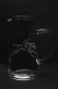 Cheval de Course Stylis�